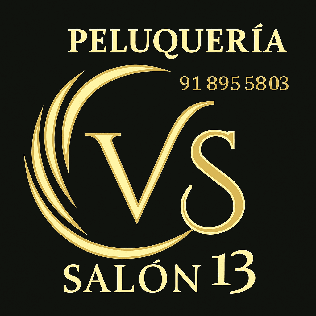 logo Vsalon13